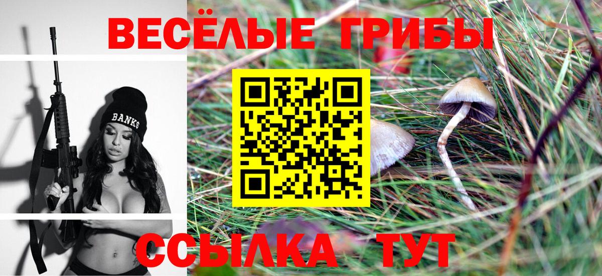 Псилоцибиновые грибы Magic Shrooms  дарнет шоп  Мурманск  Вход с VPN  Псилоцибиновые грибы прущие грибы 